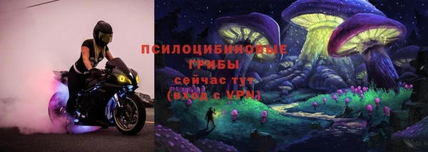 ГАЛЛЮЦИНОГЕННЫЕ ГРИБЫ Балабаново