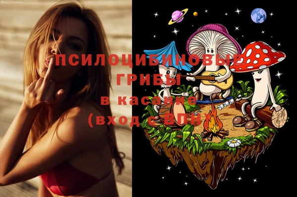 ГАЛЛЮЦИНОГЕННЫЕ ГРИБЫ Балабаново