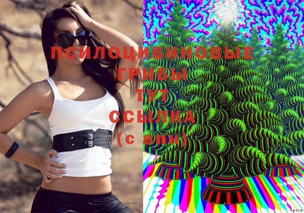 ГАЛЛЮЦИНОГЕННЫЕ ГРИБЫ Балабаново
