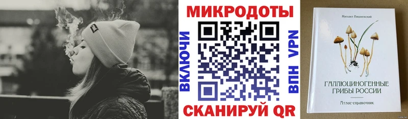 купить наркотики цена Верхнеуральск Галлюциногенные грибы Psilocybe